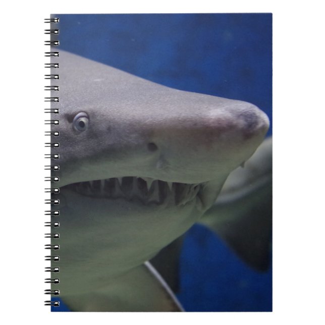 Shark Face Spiral Notebook (Front)