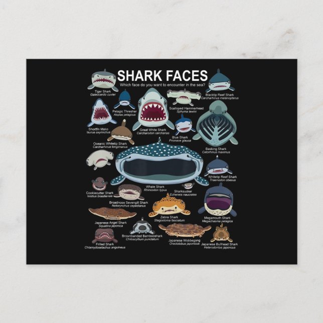 Shark Faces Which Face Do You Want To Encounter Postcard (Front)