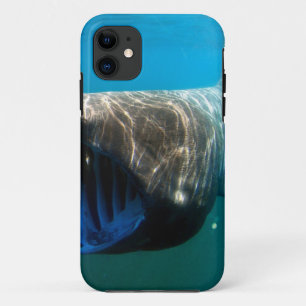 Shark Fish Ocean Tropical Ocean Destiny Gifts Case-Mate iPhone Case
