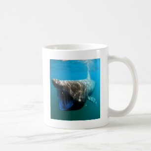 Shark Fish Ocean Tropical Ocean Destiny Gifts Coffee Mug