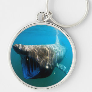 Shark Fish Ocean Tropical Ocean Destiny Gifts Key Ring