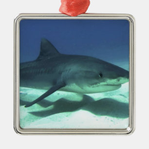 Shark Fish Ocean Tropical Ocean Destiny Gifts Metal Tree Decoration