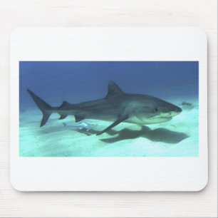 Shark Fish Ocean Tropical Ocean Destiny Gifts Mouse Pad