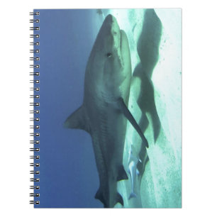 Shark Fish Ocean Tropical Ocean Destiny Gifts Spiral Notebook