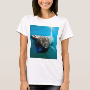 Shark Fish Ocean Tropical Ocean Destiny Gifts T-Shirt