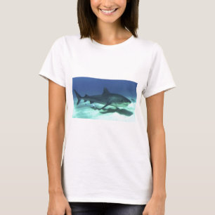 Shark Fish Ocean Tropical Ocean Destiny Gifts T-Shirt