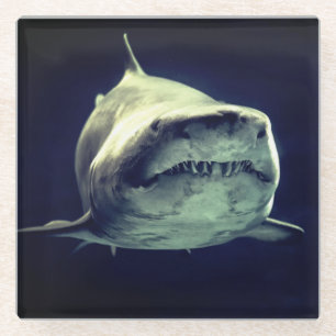 Shark Glass Coaster