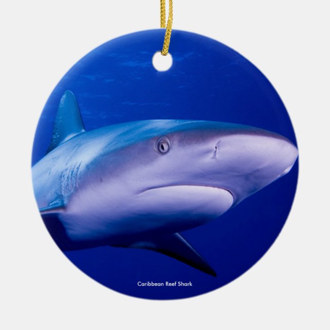 Shark image for Circle-Ornament Ceramic Tree Decoration (Front)