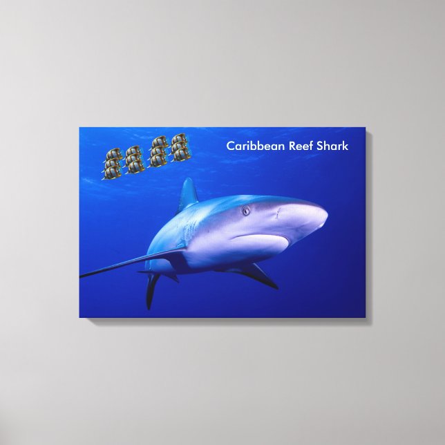 Shark image for wrapped-canvas canvas print (Front)