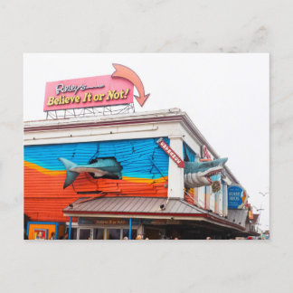 Shark in Ocean city, Maryland, US Holiday Postcard