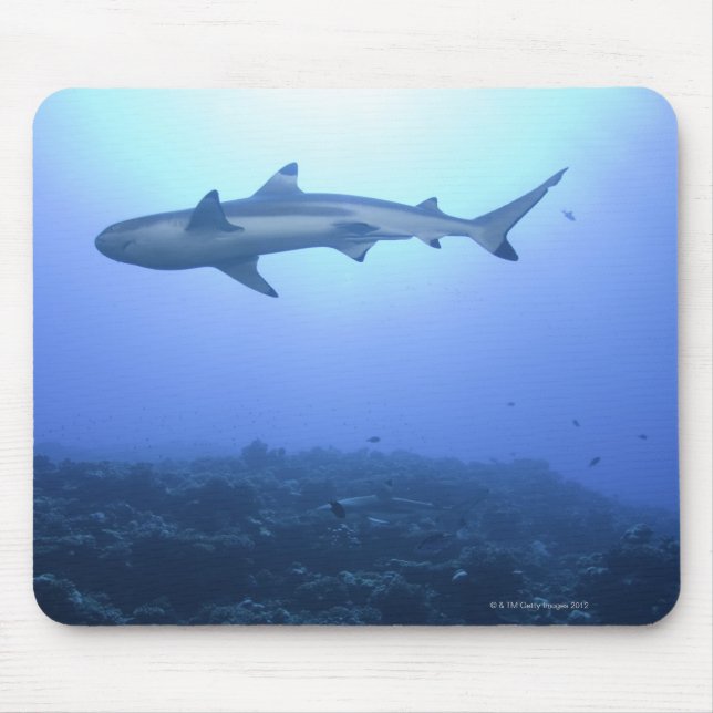 Shark in ocean, low angle view mouse pad (Front)