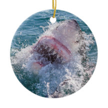 Shark in the water