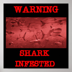 SHARK INFESTED POSTER