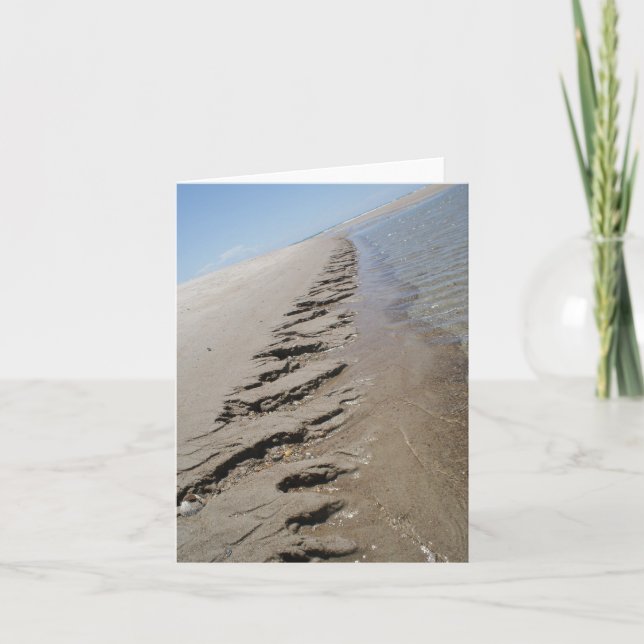 Shark Island  North Carolina Outer Banks Card (Front)