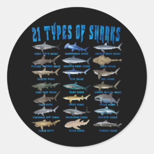Shark Lovers 21 Types Of Sharks Ocean Animal Classic Round Sticker