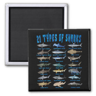 Shark Lovers 21 Types Of Sharks Ocean Animal Magnet