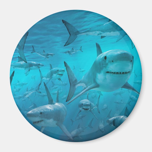 shark magnet (Front)