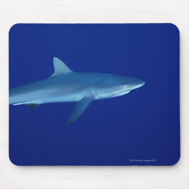 Shark Mouse Pad (Front)