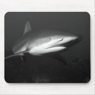 Shark Mouse Pad