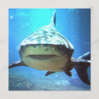Shark Photo Invitation