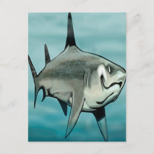 Shark Postcard