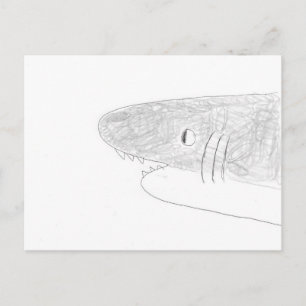 Shark Postcard