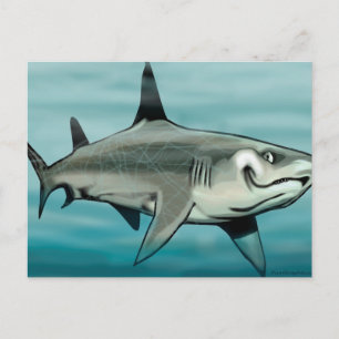 Shark Postcard