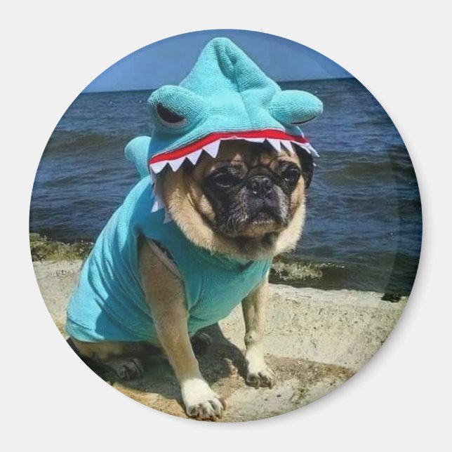 Shark Pug Magnet (Front)