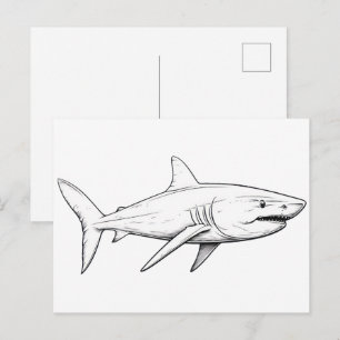 Shark sketch postcard