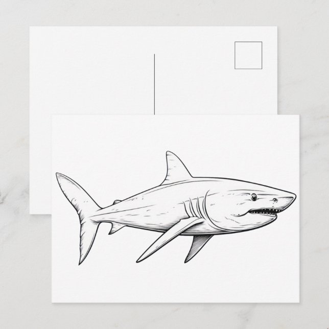 Shark sketch postcard (Front/Back)