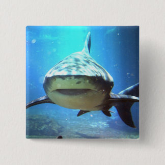 Shark Square Pin