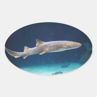 Shark Sticker