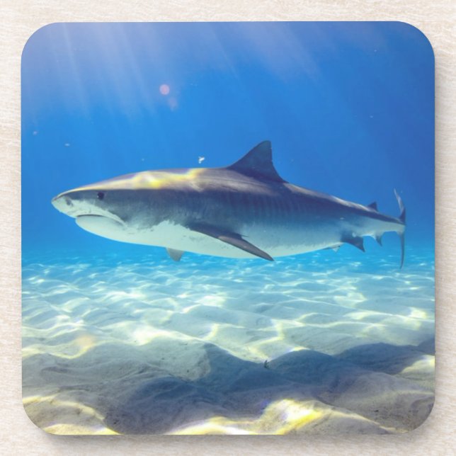 Shark Swimming Blue Ocean Water Coaster (Front)