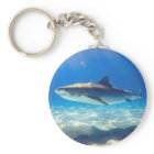 Shark Swimming Blue Ocean Water