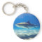 Shark Swimming Blue Ocean Water