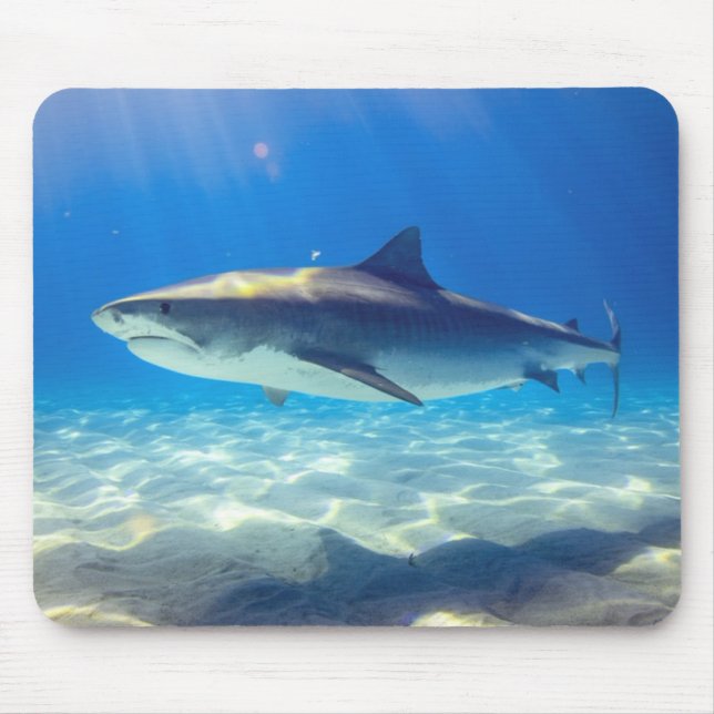 Shark Swimming Blue Ocean Water Mouse Pad (Front)