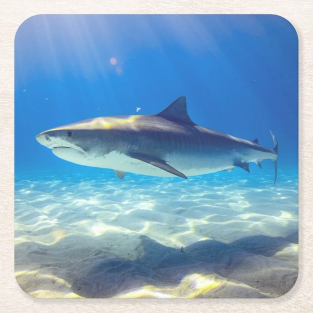 Shark Swimming Blue Ocean Water Square Paper Coaster (Front)