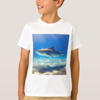 Shark Swimming Blue Ocean Water