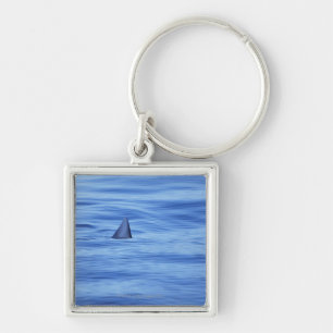Shark swimming in ocean water key ring