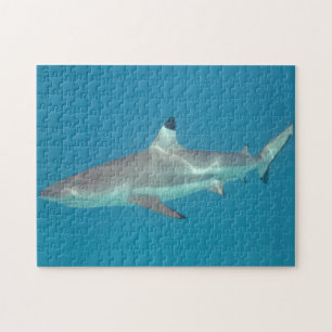 Shark swimming underwater puzzle
