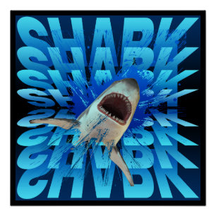 shark text effect typography  poster