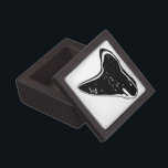 Shark tooth collecting box<br><div class="desc">Shark tooth collecting box</div>