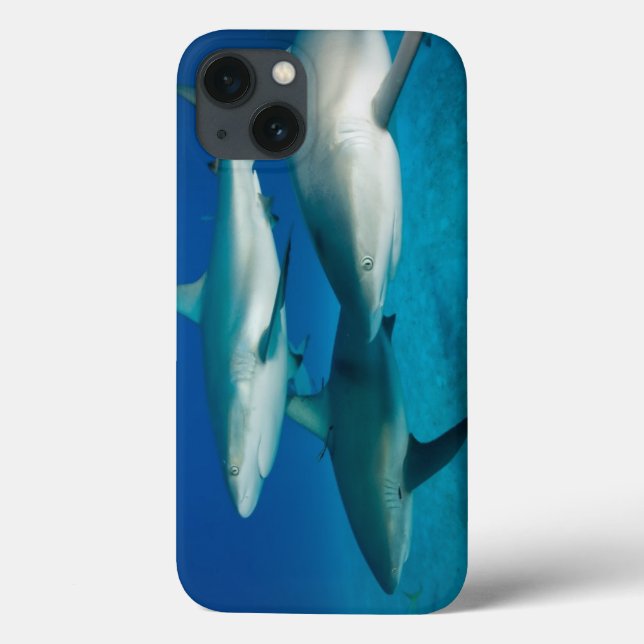 Shark Trio iPad Case (Back)