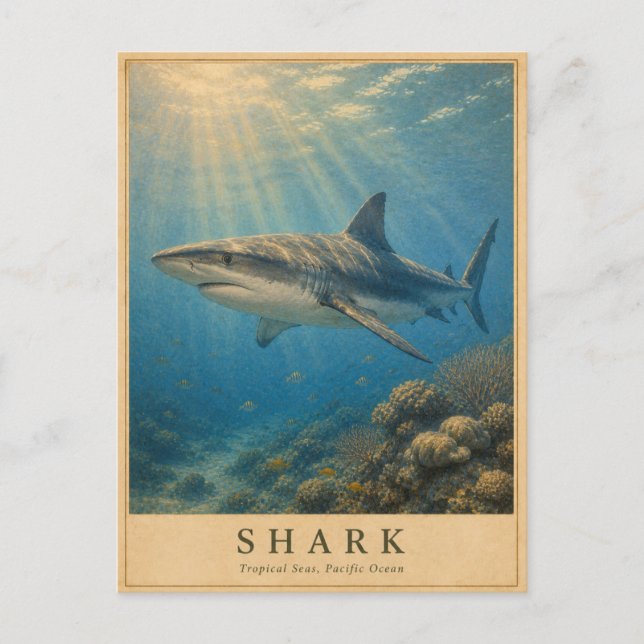Shark Tropical Pacific VINTAGE Postcard (Front)