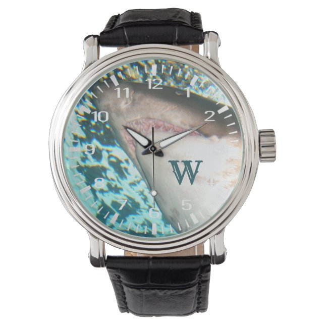 Shark Turquoise Waters Personalised Watch (Front)