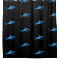 Shark Underwater Marine Landscape Wilderness