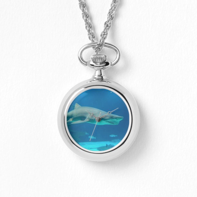 Shark Watch (Front)