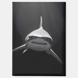 Shark Wildlife Majestic Nature Life Ocean Poster Magnet