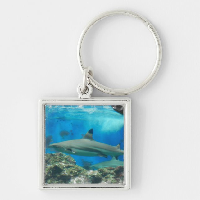 Shark with Reef  Keychain (Front)