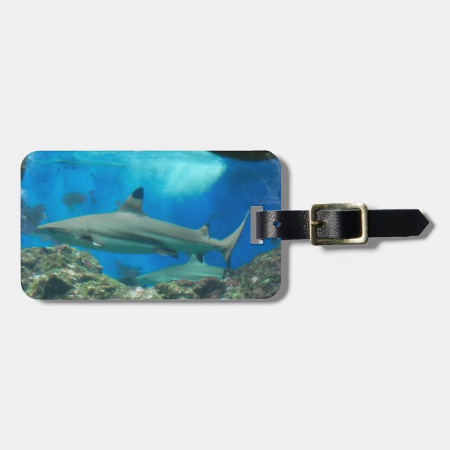 Shark with Reef  Luggage Tag (Front Horizontal)